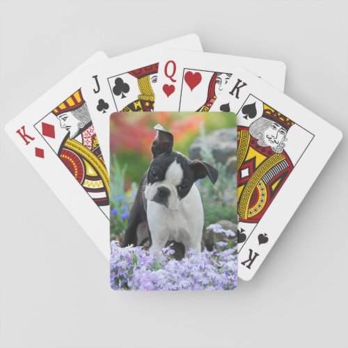 Boston Terrier Dog Cute Puppy in Flowers _ Poker Cards