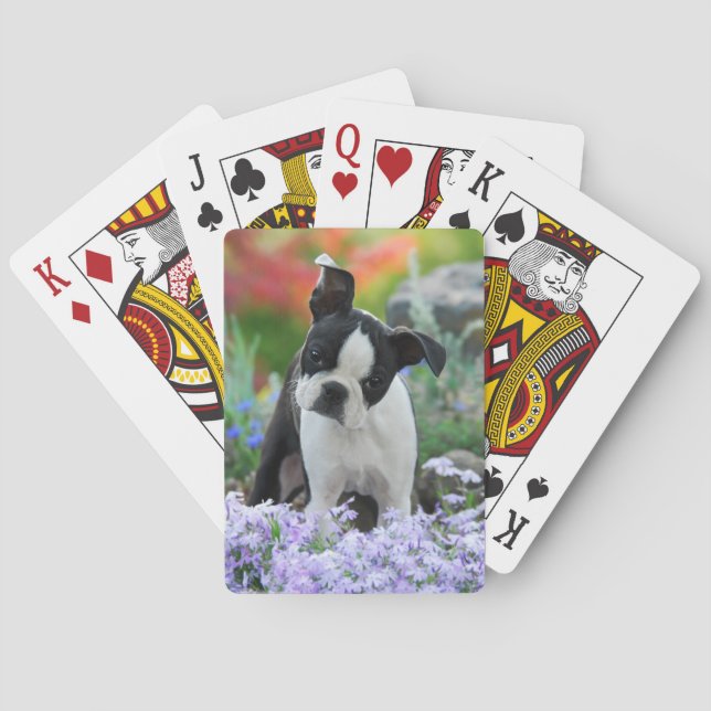 Boston Terrier Dog Cute Puppy in Flowers - Poker Cards (Back)