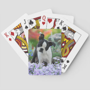 Boston Terrier Dog Cute Puppy in Flowers - Poker Cards