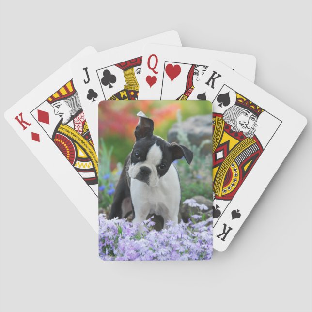 Boston Terrier Dog Cute Puppy in Flowers - Poker Cards (Back)