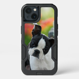 Boston Terrier Dog Cute Puppy on Commuter-Case iPhone 13 Case