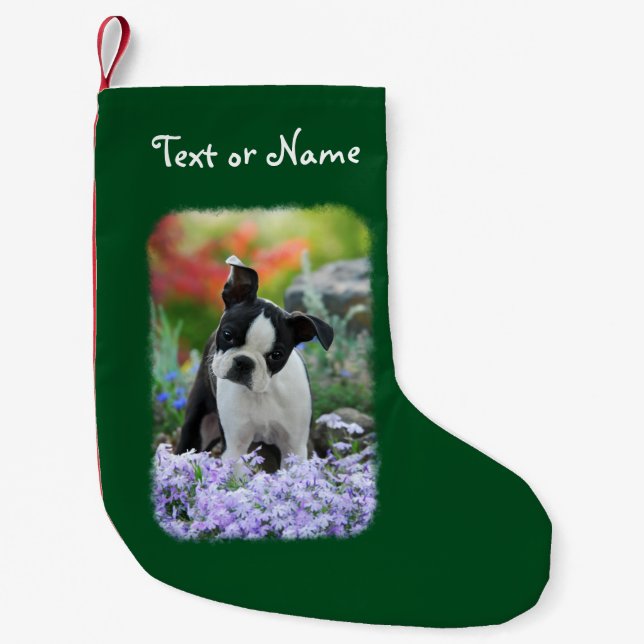 Boston Terrier Dog Cute Puppy Personalized Santa Small Christmas Stocking (Front)