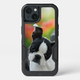 Boston Terrier Dog Cute Puppy Pet - Commuter iPhone 13 Case