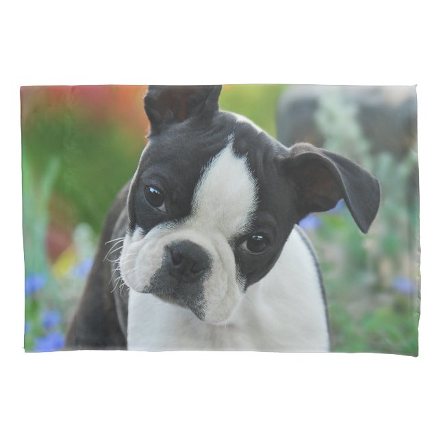 Boston Terrier Dog Cute Puppy Photo - Pillow-Cover Pillow Case (Front)