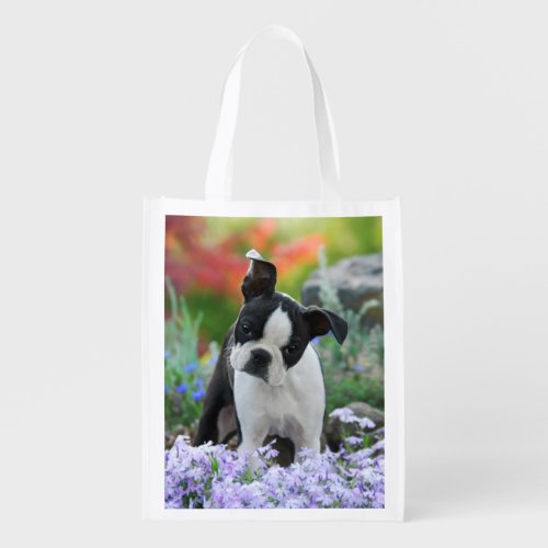 Boston Terrier Dog Cute Puppy Photo reuseable Grocery Bag