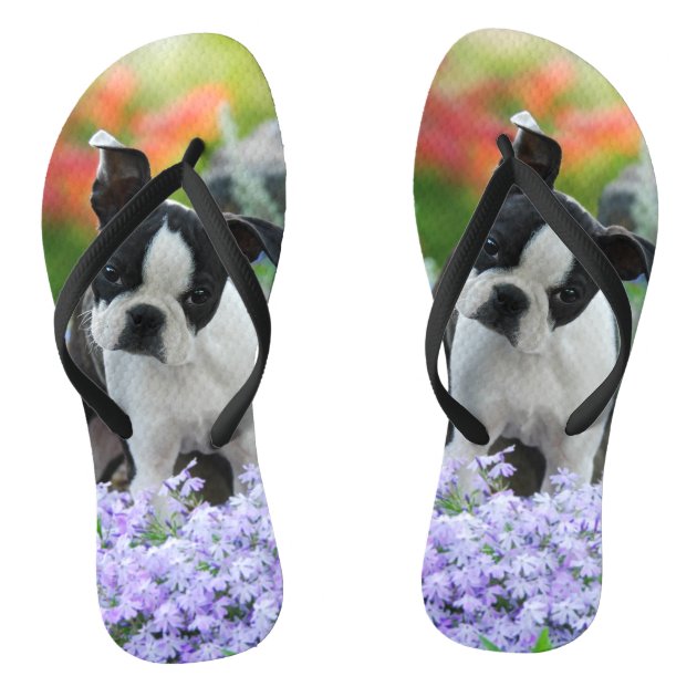 pet flip flops