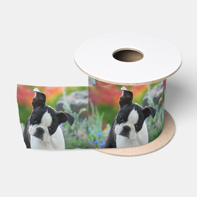 Boston Terrier Dog Cute Puppy Portrait Pet Photo - Satin Ribbon (Spool)