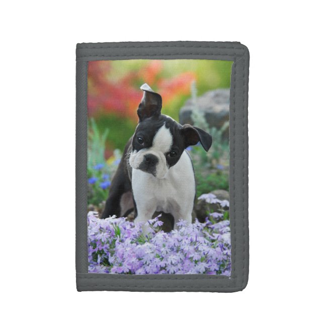 Boston Terrier Dog Cute Puppy, Purse Tri-fold Wallet (Front Vertical)