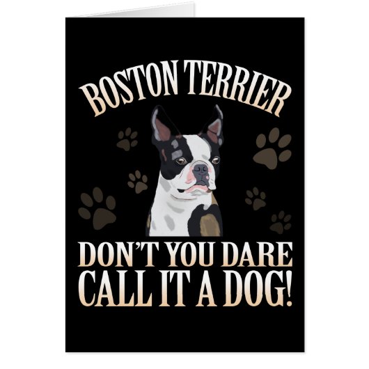 Boston Terrier Dog Don't You Dare Call It A Dog (Front)