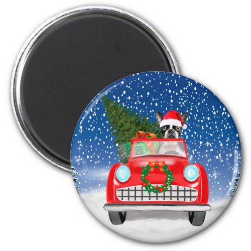 Boston terrier Dog Driving Car In Snow Christmas Magnet