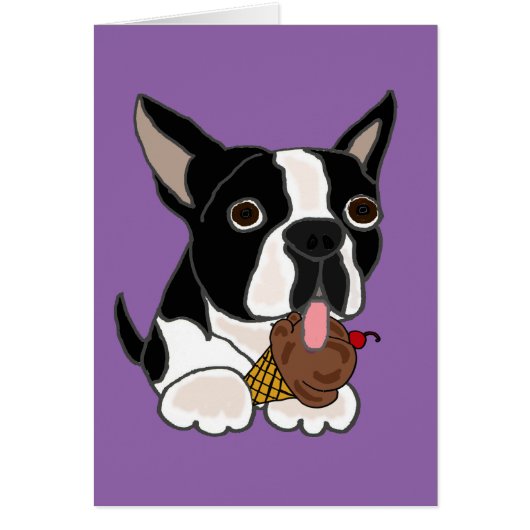 Boston Terrier dog Eating Ice Cream (Front)