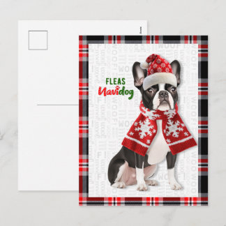 Boston Terrier Dog Fleas Navidog Christmas Holiday Postcard