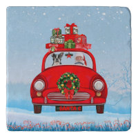 Boston Terrier Dog In Car With Santa Claus