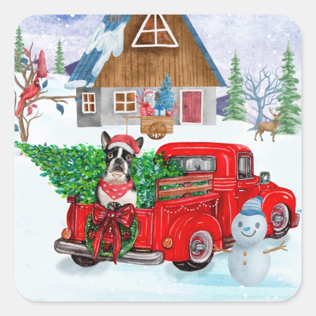 Boston Terrier dog In Christmas Delivery Truck Square Sticker (Front)