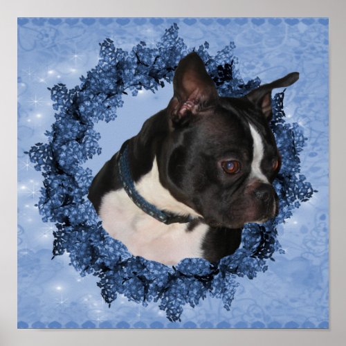 Boston Terrier Dog In Floral Wreath Poster