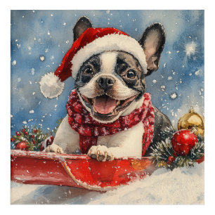 Boston Terrier Dog in Sledge Let it Snow Christmas Acrylic Print