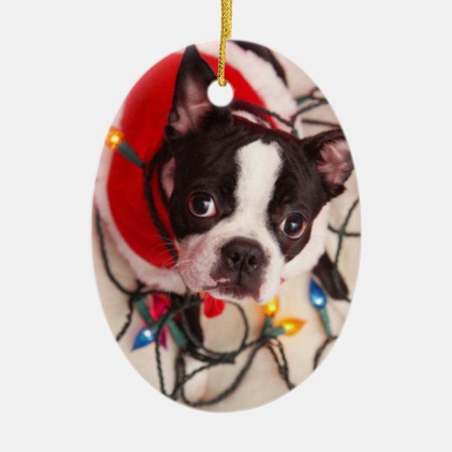 Boston Terrier Dog in Twinkling Lights Ornament (Front)