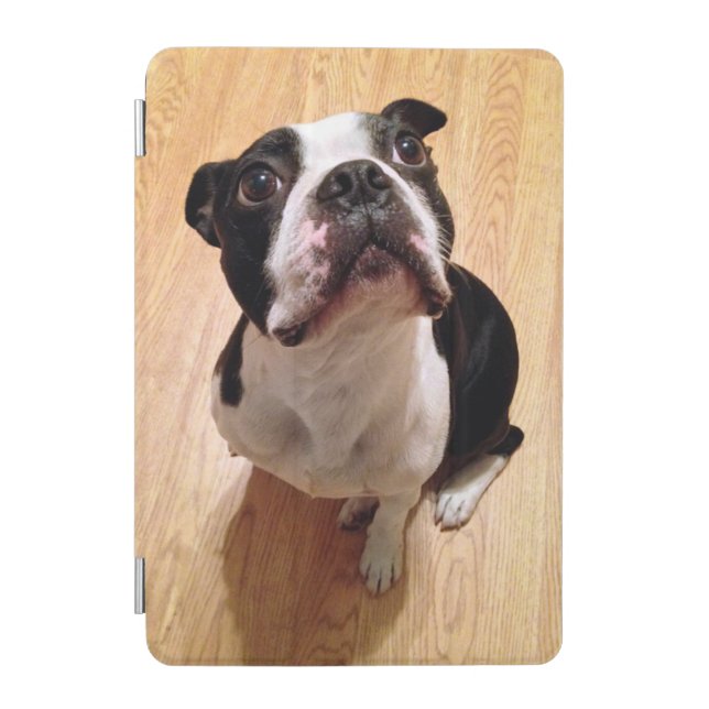 Boston Terrier Dog iPad Mini Cover (Front)