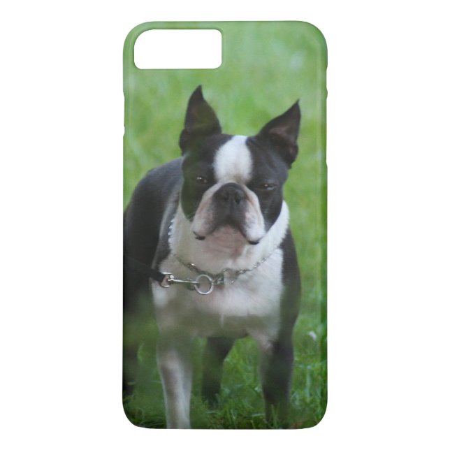 Boston Terrier dog iPhone 7 plus case (Back)