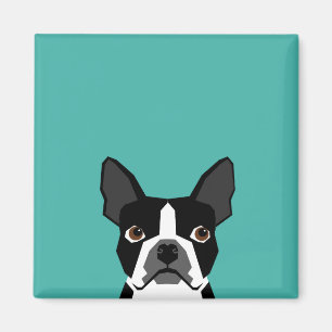 Boston Terrier dog magnet