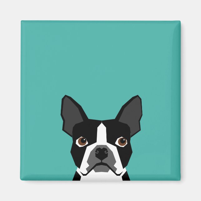 Boston Terrier dog magnet (Front)