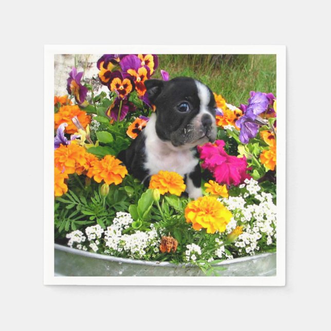Boston Terrier dog Napkins (Front)