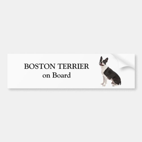 Boston Terrier dog on board custom bumper sticker