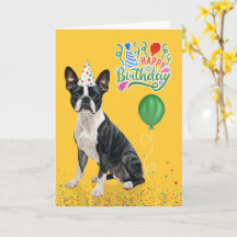 Boston Terrier Dog Party Hat Yellow Birthday