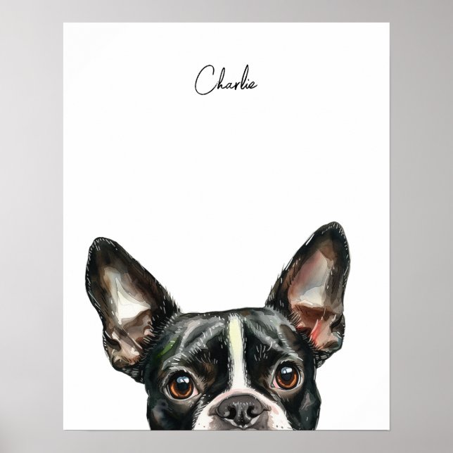 Boston Terrier Dog Personalized Print (Front)