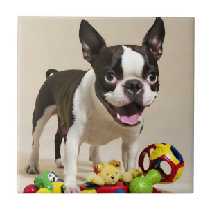 Boston Terrier Dog Playing with Toys Ceramic Tile