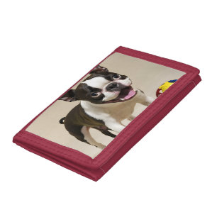 Boston Terrier Dog Playing with Toys Trifold Wallet