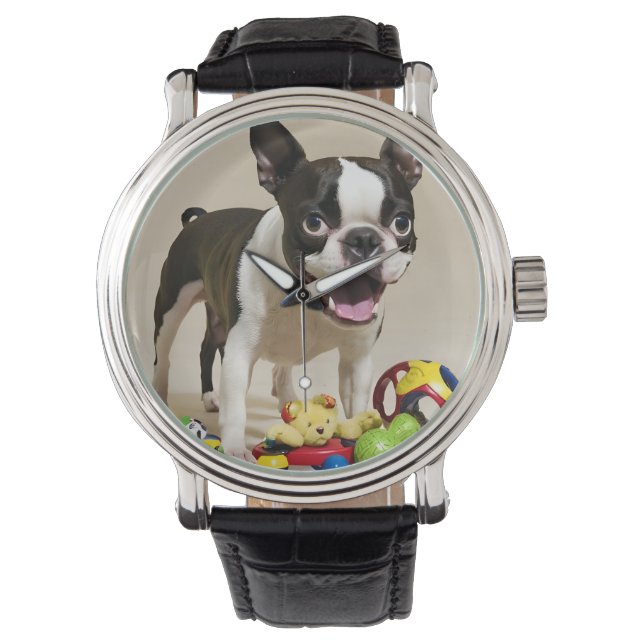 Boston Terrier Dog Playing with Toys Watch (Front)