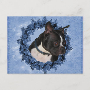Boston Terrier Dog Postcard