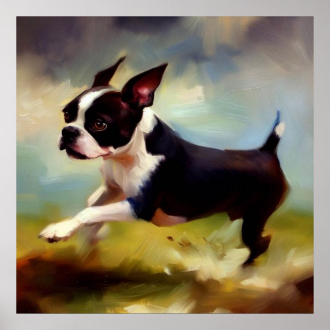 Boston Terrier Dog  Poster (Front)