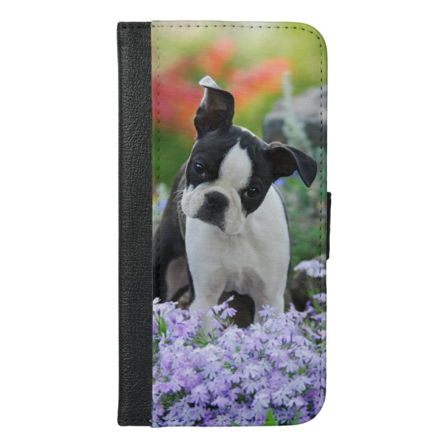Boston Terrier Dog Puppy - protect iPhone Wallet Case (Front)