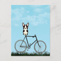 Boston Terrier Dog Sitting on Vintage Bicycle