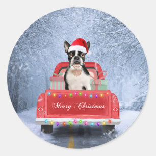 Boston Terrier Dog Snow sitting in Christmas Truck Classic Round Sticker