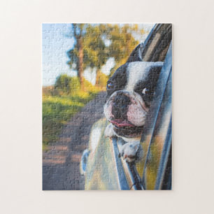 Boston Terrier Dog Sticking Head out Car Window Jigsaw Puzzle