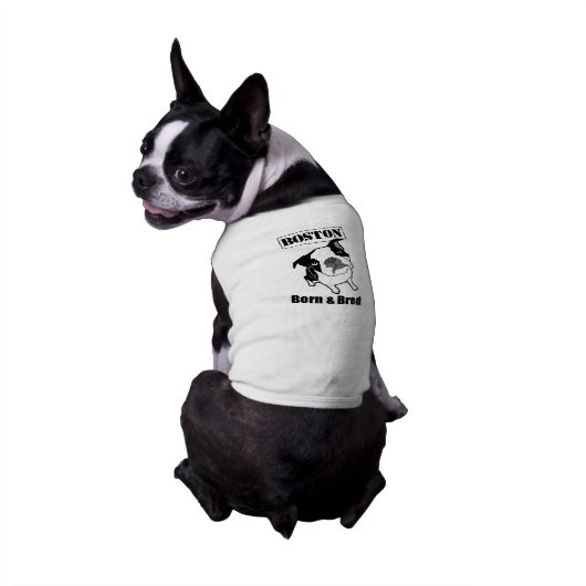Boston Terrier dog t-shirt (Back)