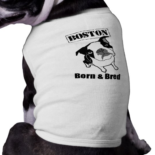 Boston Terrier dog t-shirt