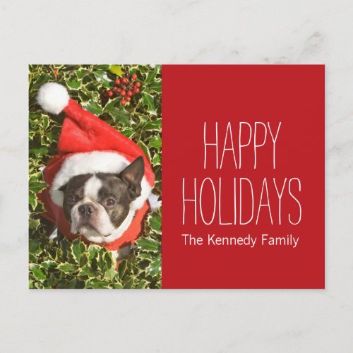 Boston Terrier dog wearing a Christmas wreath Holiday Postcard