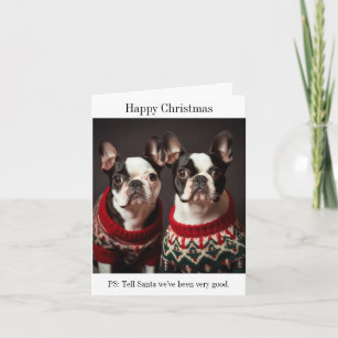 Boston Terrier Dogs in Christmas Sweaters Card