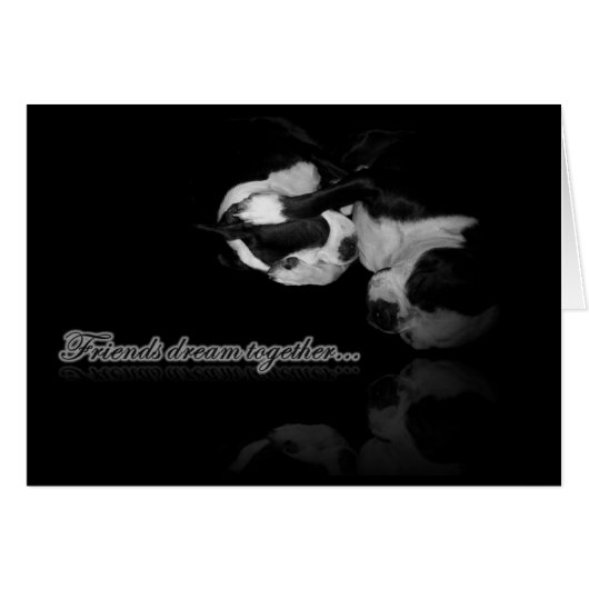 Boston Terrier Dreams Card (Front Horizontal)
