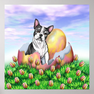 Boston Terrier Easter Surprise Poster