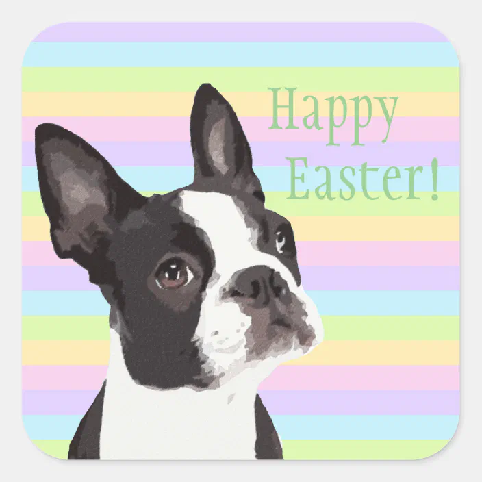 Boston Terrier Easter Wishes Pastel Stickers Zazzle Com