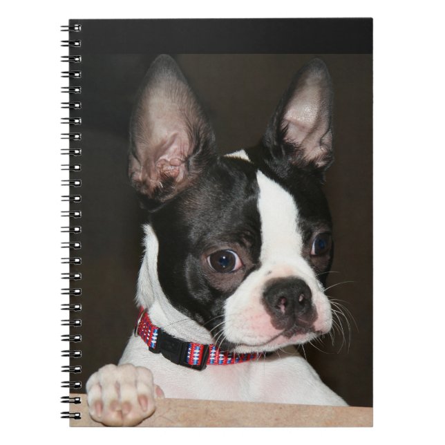 Boston Terrier face Notebook (Front)
