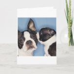 Boston Terrier Father&#39;s Day Card at Zazzle