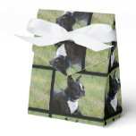 Boston Terrier Favor Boxes