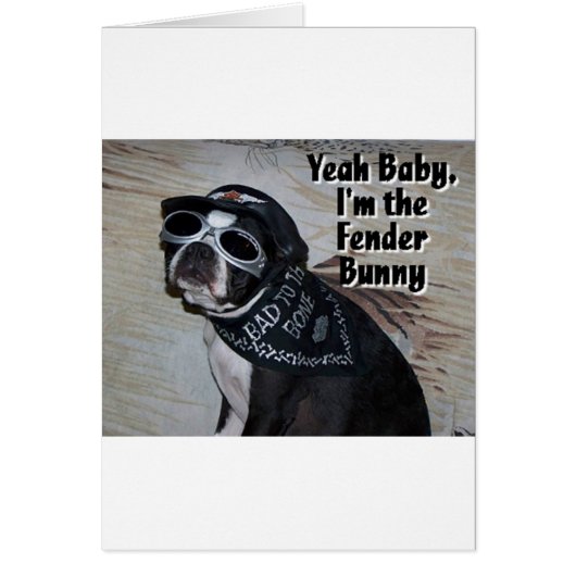 Boston Terrier: Fender Bunny Cards (Front)