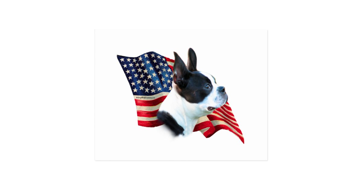 Boston Terrier Flag Postcard | Zazzle.com